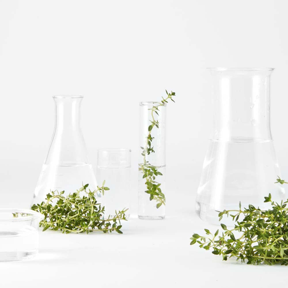 Timo purificante tonico perfezionatore_3600542196826_Garnier-5