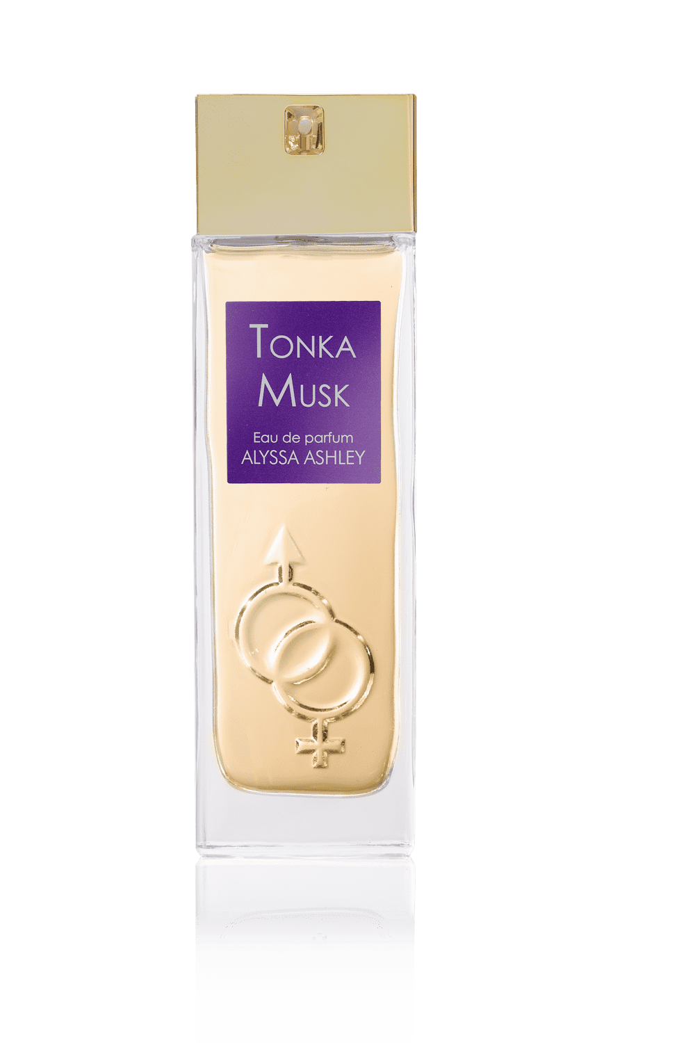 Tonka Musk by Alyssa Ashley Eau de parfum_3495080312056_Alyssa Ashley