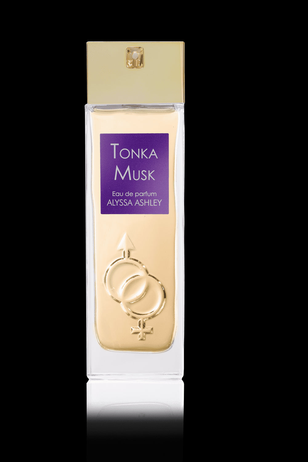 Tonka Musk by Alyssa Ashley Eau de parfum_3495080312056_Alyssa Ashley