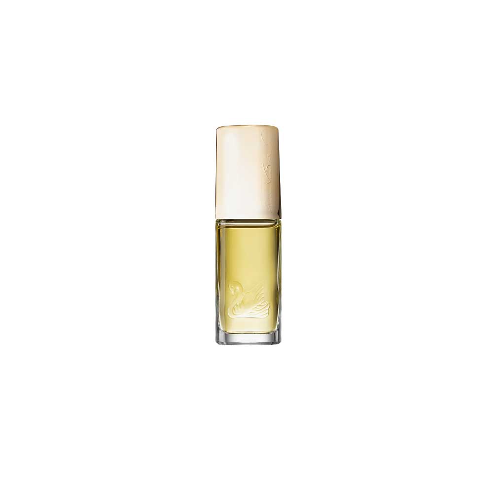 Venderbilt Eau de toilette_3357554210018_Gloria Vanderbilt
