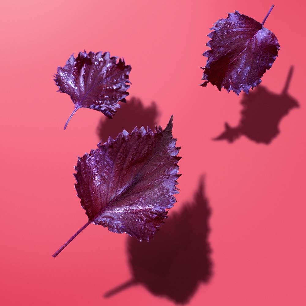 WASO Purifying Peel Off Mask_729238149366_Shiseido-5