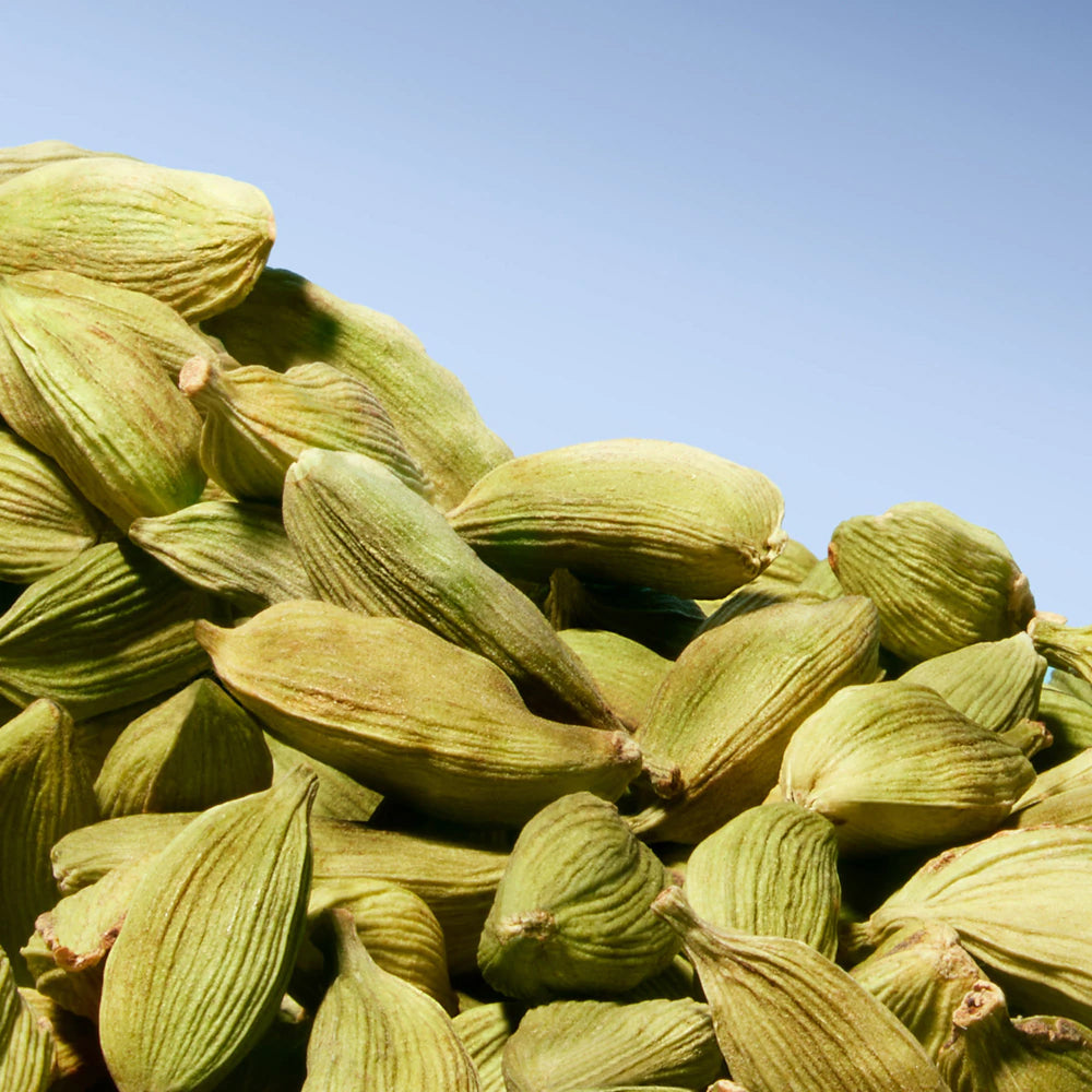 Wanted Eau de Toilette_3351500002702_Azzaro-5