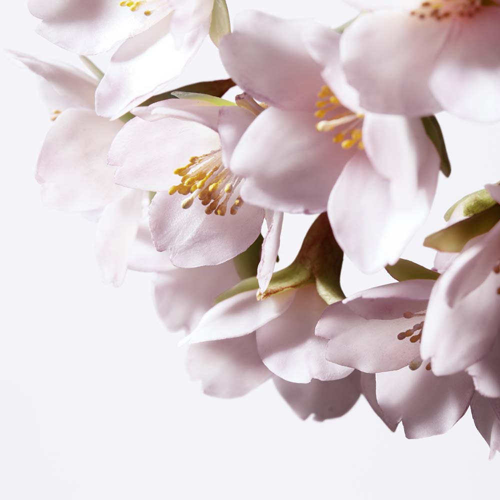 White Lucent Illuminating Micro-Spot Serum_768614160441_Shiseido-7