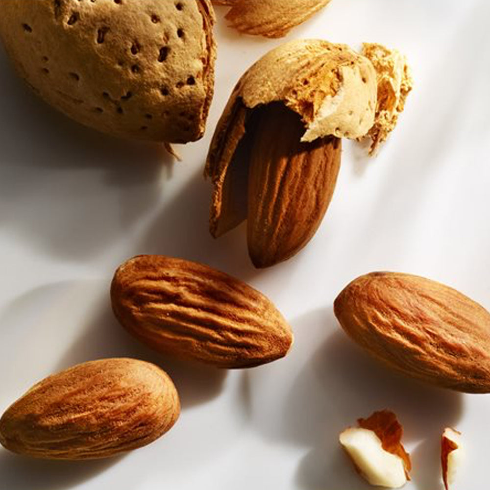 Wonderlust Eau de parfum_022548366448_Michael Kors-5