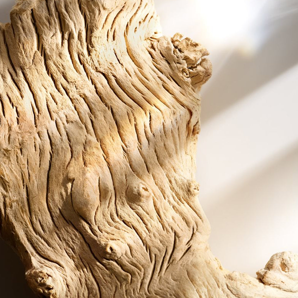 Wonderlust Eau de parfum_022548366462_Michael Kors-6