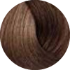 5.3 Castano chiaro dorato