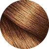 10 Castano Dorato