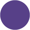 12 Viola Metallo