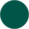 504 Military green
