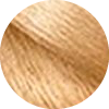 05 Biondo