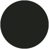 100 Iconic black