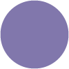 304 Shiny Violet