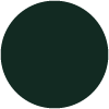 264 - Evergreen
