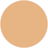 Shell 160