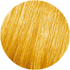 832 Biondo miele