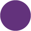 Night Violet