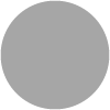 028 Silver