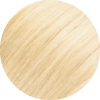 02 Biondo Ultra Chiaro Dorato