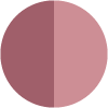 019 Vibrant Rose