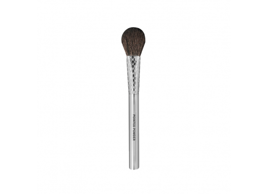 Pennello F06 Pointed Powder Brush